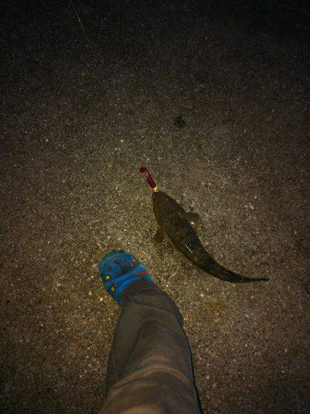 久々のフラット