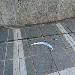 マリーナシティ