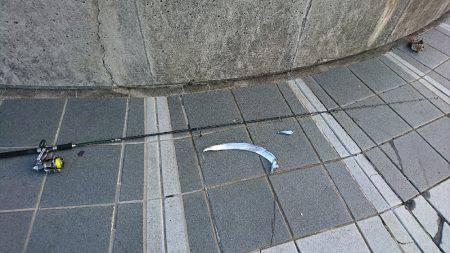 マリーナシティ