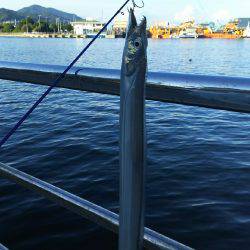 F2ばかりまだまだですな～