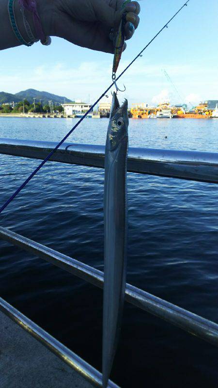 F2ばかりまだまだですな～