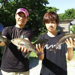 サカムラいかだ