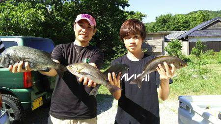 サカムラいかだ