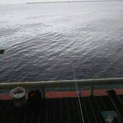 リニューアルオープン