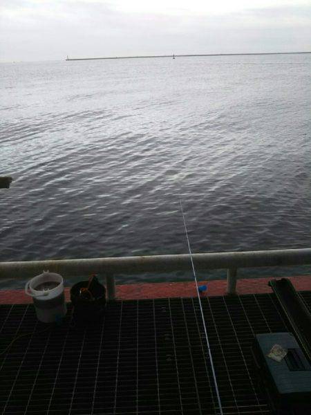 リニューアルオープン