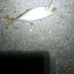 確実に成長している