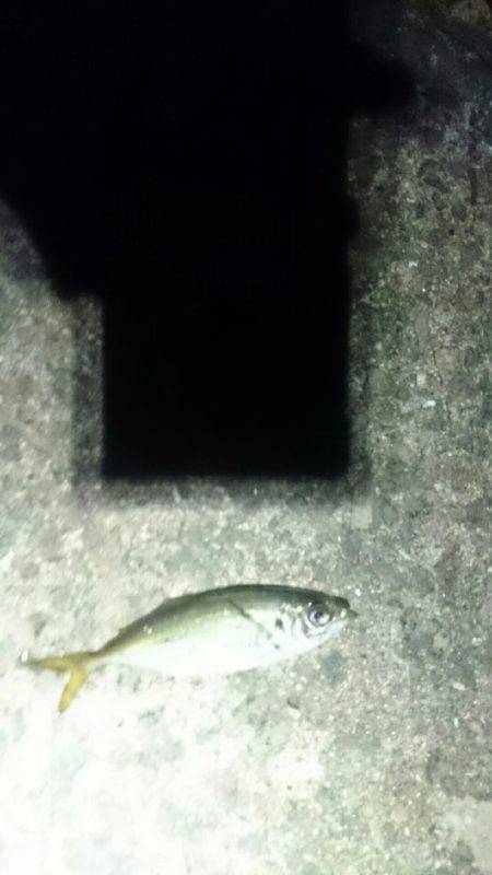 やっぱり遅い。