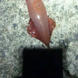 このままでは…