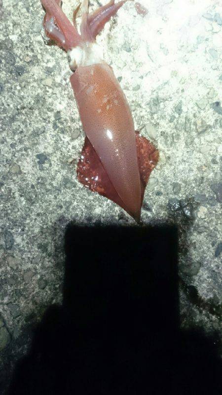 このままでは…