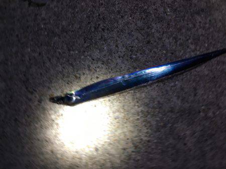 ケンサキと太刀魚