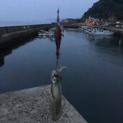 とりあえず2杯!