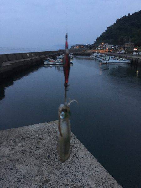 とりあえず2杯!