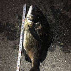 あと、3センチ…