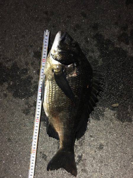 あと、3センチ…