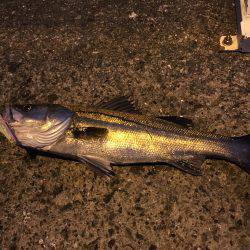 ナイスファイト❗️