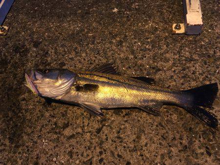 ナイスファイト❗️