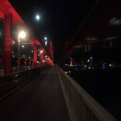 神戸タチウオ爆釣