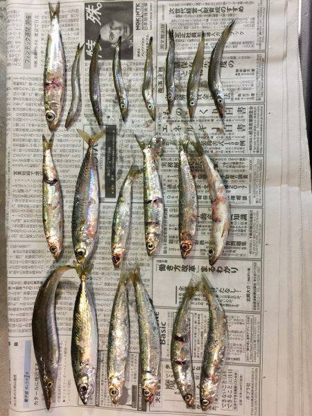 ジグサビキ スーパーライトショアジギング アジング