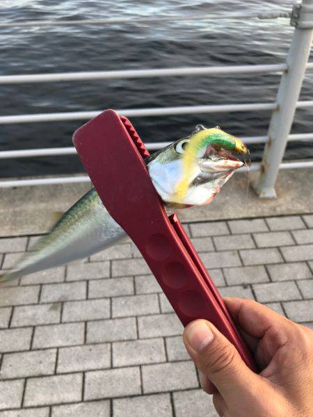 ナイト&デイ フルコース笑