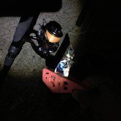 神戸港でタチウオワインド