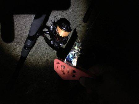 神戸港でタチウオワインド