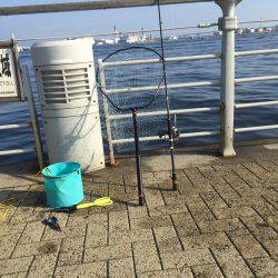 中サバも楽しい♪