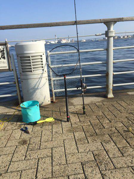 中サバも楽しい♪