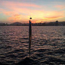 ポートアイランド