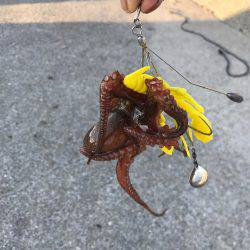 懲りずにオクトパッシング！