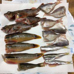 昼過ぎから日没まで