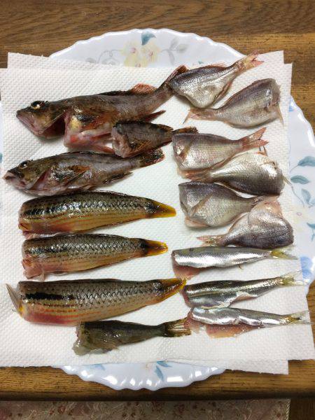 昼過ぎから日没まで