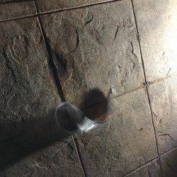 ランガン夏タチショアジギング