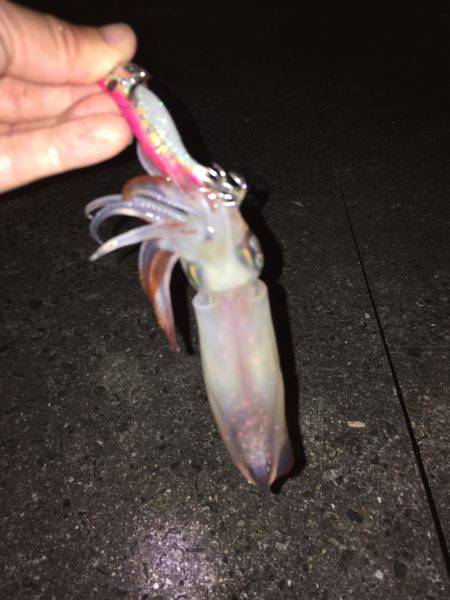 ライトエギング