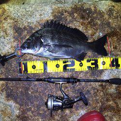 淀川花火大会の日にチニング