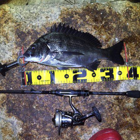 淀川花火大会の日にチニング