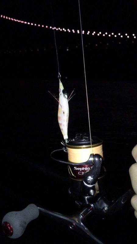 アジュール舞子でケンサキエギング