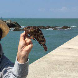 チャリコの嵐！！