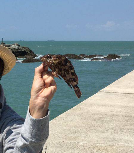 チャリコの嵐！！