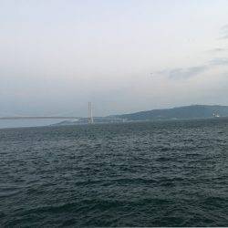 台風後のケンサキは？