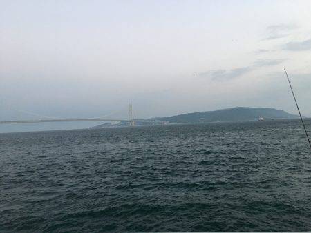 台風後のケンサキは？