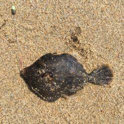 台風の影響続く