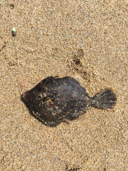 台風の影響続く