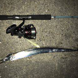 オカルト ジンクス