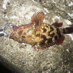 なんくるないさ