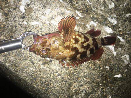 なんくるないさ