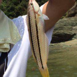 デートフィッシング