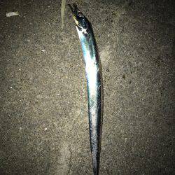 ワインドジャンキー