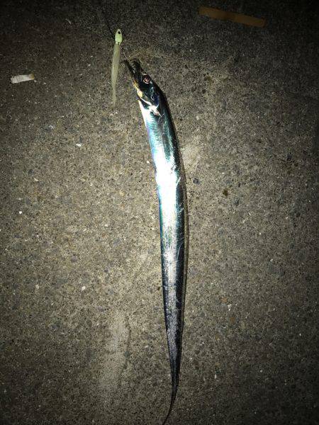 ワインドジャンキー