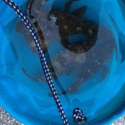 ライトワインド