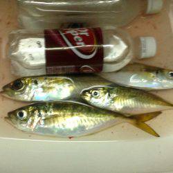 続雨ニモマケズ